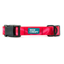 Waterproof Dog Collar - AQUA COLLECTION - Cosmopolitans - J & J Pet Club - Woof Concept
