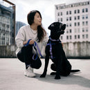 Waterproof Dog Collar - AQUA COLLECTION - Empress - J & J Pet Club - Woof Concept