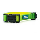 Waterproof Dog Collar - AQUA COLLECTION - Lime Margarita - J & J Pet Club - Woof Concept