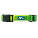 Waterproof Dog Collar - AQUA COLLECTION - Lime Margarita - J & J Pet Club - Woof Concept