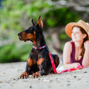 Waterproof Dog Leash - AQUA COLLECTION - Cosmopolitan - J & J Pet Club - Woof Concept