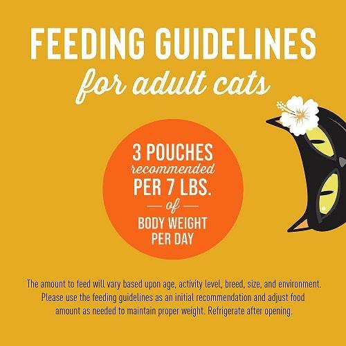 Wet Cat Food - ALOHA FRIENDS - Chicken & Pumpkin - 2.5 oz pouch - J & J Pet Club - Tiki Cat