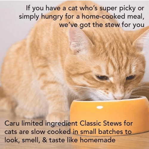 Wet Cat Food - Classic Stew - Natural Wild Salmon & Turkey - 6 oz - J & J Pet Club - Caru