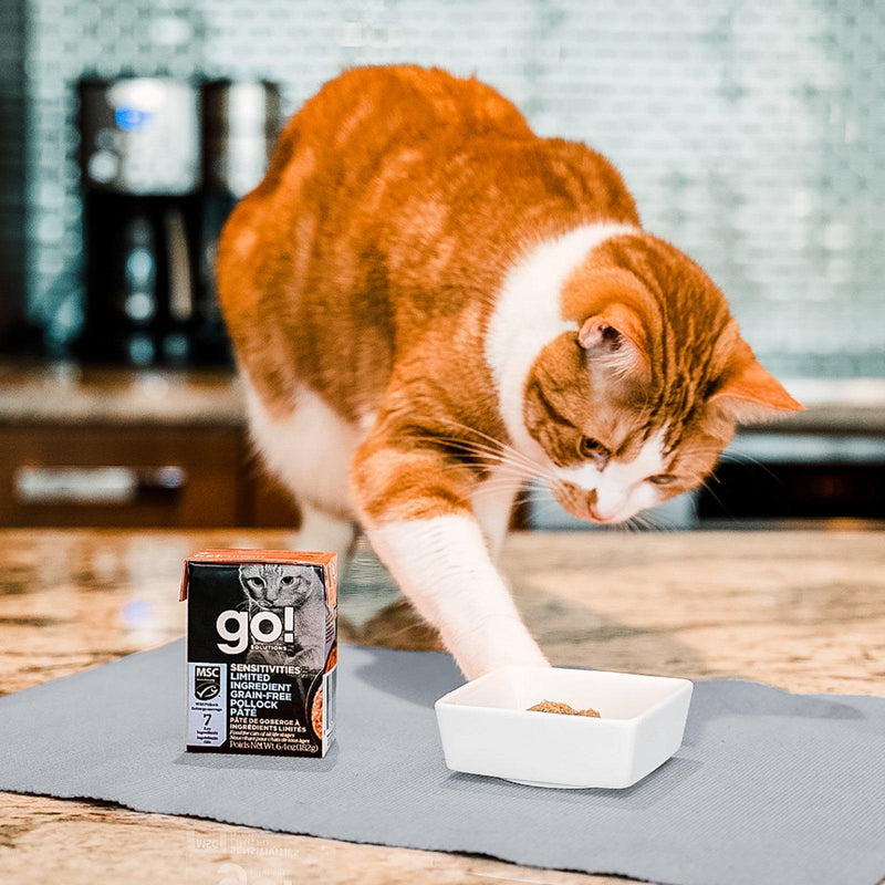 Wet Cat Food - SENSITIVITIES - LIMITED INGREDIENT - Grain Free Pollock Pâté - 6.4 oz - J & J Pet Club - GO!