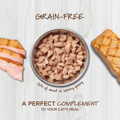 Wet Cat Food Topper - HEALTHY CRAVINGS - Real Salmon Recipe - 3 oz pouch - J & J Pet Club - Instinct