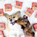 Wet Dog Food - Stella's Stew - Beef Stew - 11 oz - J & J Pet Club - Stella & Chewy's