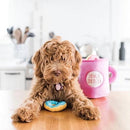 Zippy Burrow - Coffee and Donutz - J & J Pet Club - ZippyPaws