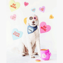 Zippy Burrow - Coffee and Donutz - J & J Pet Club - ZippyPaws