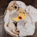 Zippy Burrow - Moon and Stars - J & J Pet Club - ZippyPaws