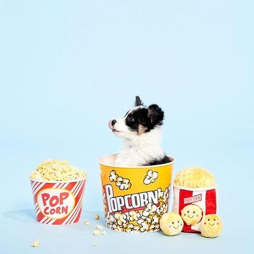 Zippy Burrow - Popcorn Bucket - J & J Pet Club - ZippyPaws
