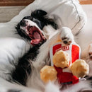 Zippy Burrow - Popcorn Bucket - J & J Pet Club - ZippyPaws