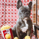 Zippy Burrow - Popcorn Bucket - J & J Pet Club - ZippyPaws