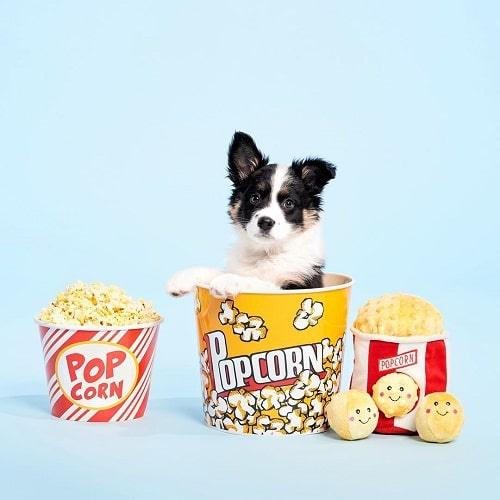 Zippy Burrow - Popcorn Bucket - J & J Pet Club - ZippyPaws