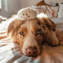 Zippy Burrow - Soup Dumplings - J & J Pet Club - ZippyPaws