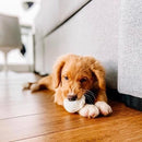 Zippy Burrow - Soup Dumplings - J & J Pet Club - ZippyPaws