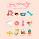 ZippyTuff - Squeaker Ball - J & J Pet Club - ZippyPaws