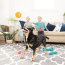 ZippyTuff - Squeaker Ball - J & J Pet Club - ZippyPaws