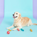 ZippyTuff - Squeaker Ball - J & J Pet Club - ZippyPaws